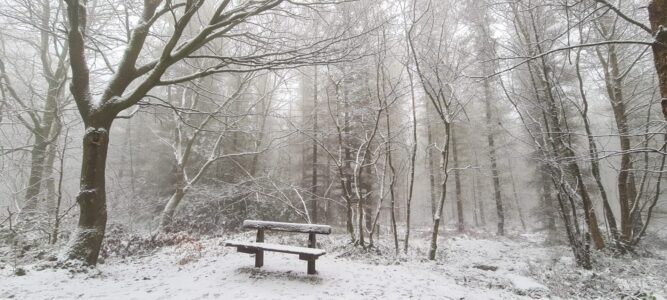 Greno Wood 9