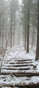 Greno Wood 12