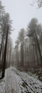 Greno Wood 8