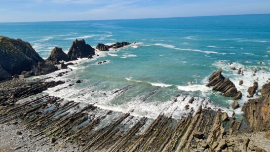 Hartland Peninsula 36