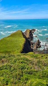 Hartland Peninsula 4