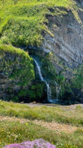 Hartland Peninsula 5