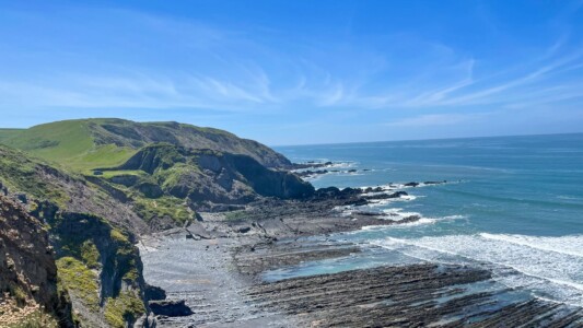 Hartland Peninsula 45