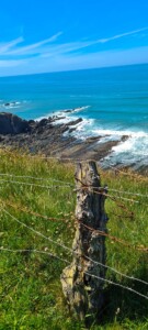 Hartland Peninsula 9