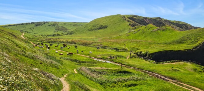 Hartland Peninsula 42