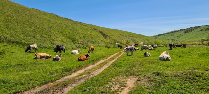 Hartland Peninsula 38