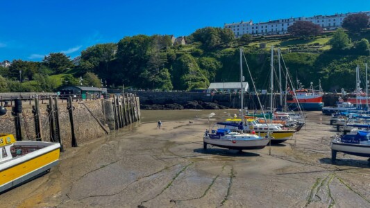 Ilfracombe 8