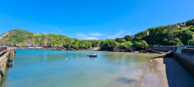 Ilfracombe 14