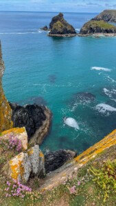 Kynance Cove 3