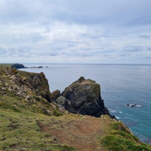 Kynance Cove 13