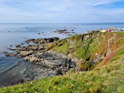 Lizard Point 6