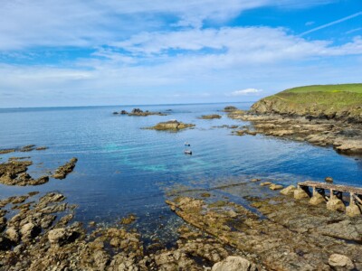 Lizard Point 14