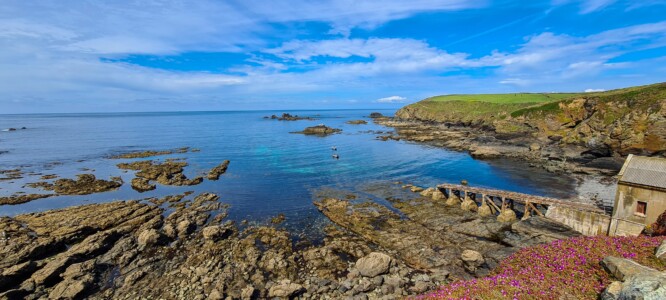 Lizard Point 1