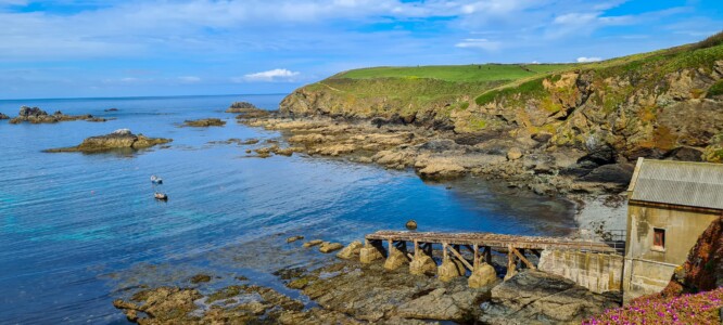 Lizard Point 2