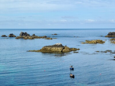 Lizard Point 5