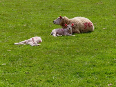 Mam Tor Circular Walk 72