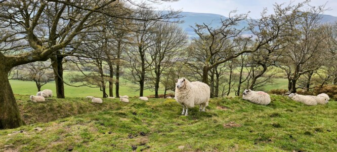 Mam Tor Circular Walk 64