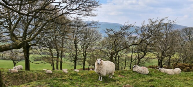 Mam Tor Circular Walk 11