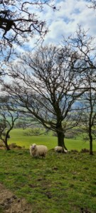 Mam Tor Circular Walk 5