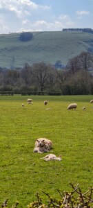 Mam Tor Circular Walk 52