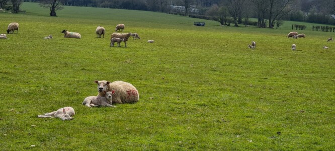Mam Tor Circular Walk 66
