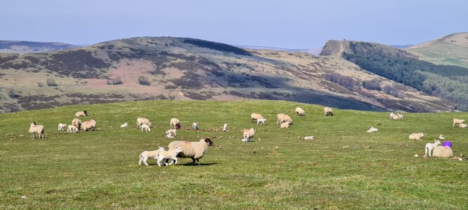 Mam Tor Circular Walk 17