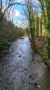 Millennium Walkway 7