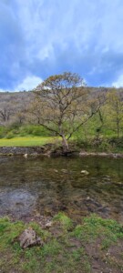 Monsal Dale 24