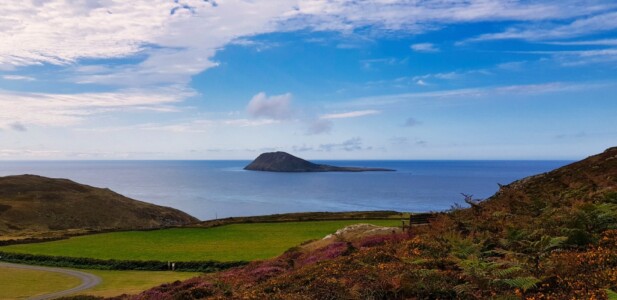 Mynydd Anelog 17