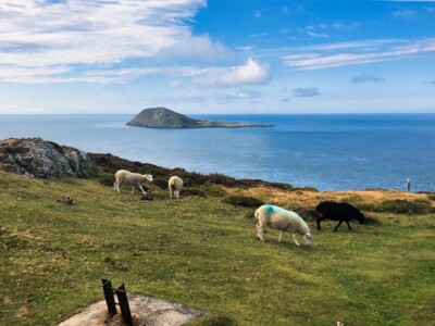 Mynydd Anelog 16