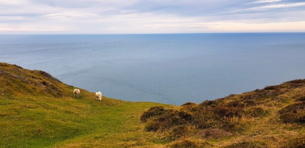 Mynydd Anelog 4