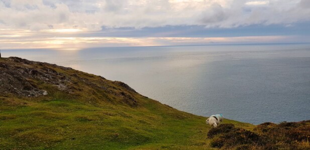 Mynydd Anelog 10