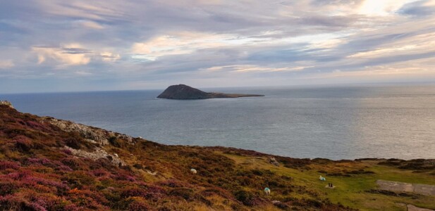 Mynydd Anelog 18