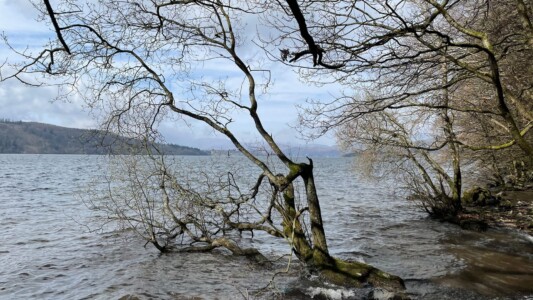 Queen Adelaide's Hill 21