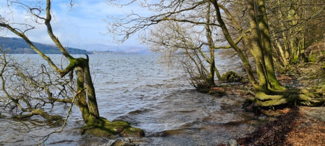 Queen Adelaide's Hill 16