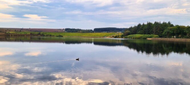 Redmires Reservoirs 16