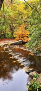 Rivelin Valley Nature Trail 5