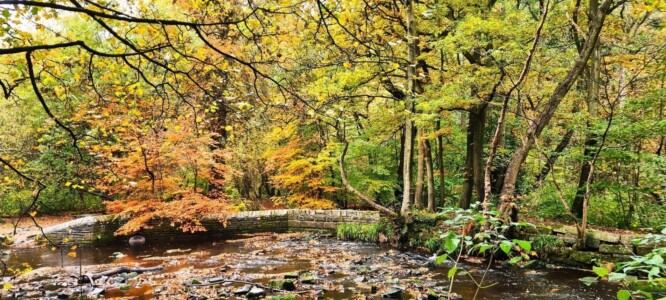 Rivelin Valley Nature Trail 3