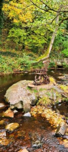 Rivelin Valley Nature Trail 6
