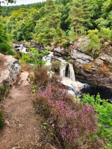 Rogie Falls 4
