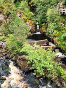 Rogie Falls 5