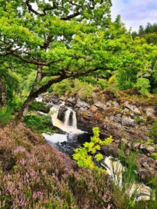 Rogie Falls 3