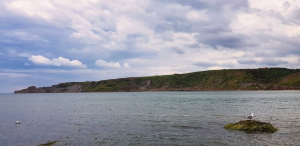 Runswick Bay 11