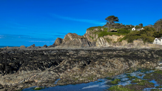 Sandy Cove and Lee Beach 1