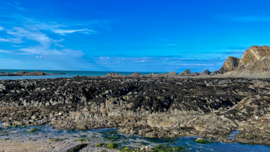 Sandy Cove and Lee Beach 20