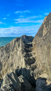 Sandy Cove and Lee Beach 14