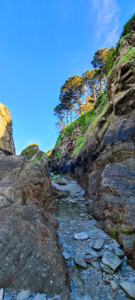 Sandy Cove and Lee Beach 19