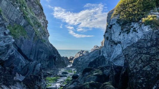 Sandy Cove and Lee Beach 15