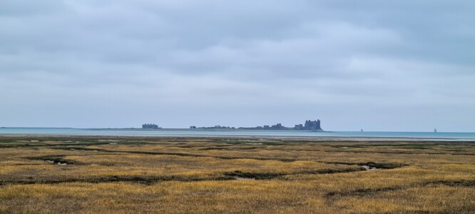 South Walney Nature Reserve 24