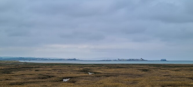 South Walney Nature Reserve 25